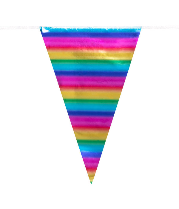 Vlaggenlijn Regenboog Metallic (10m)