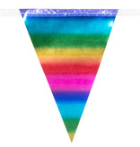 Minivlaggenlijn Regenboog Metallic (3m)
