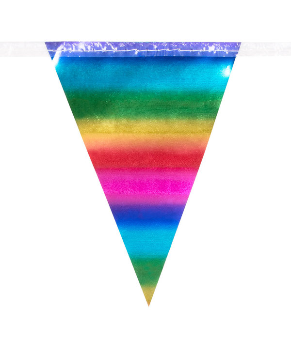 Minivlaggenlijn Regenboog Metallic (3m)