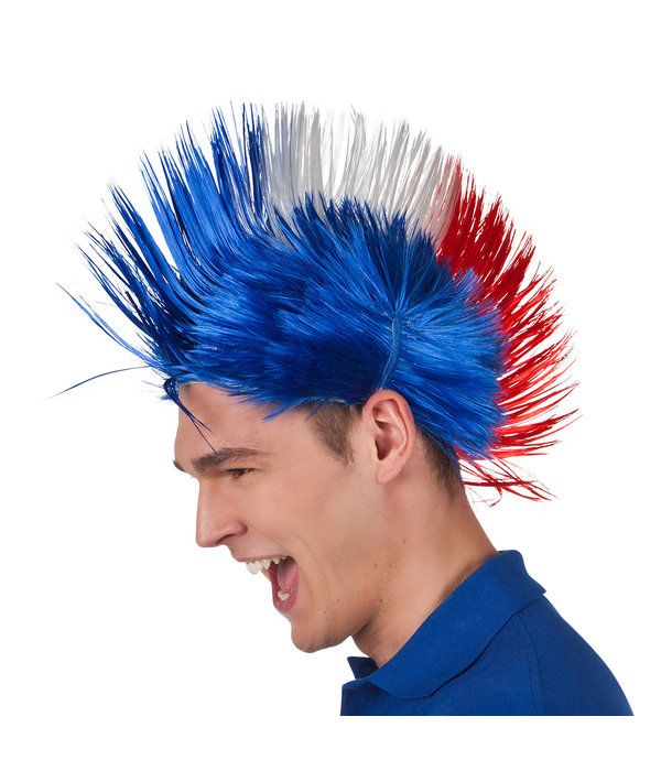 Pruik Punk Frankrijk