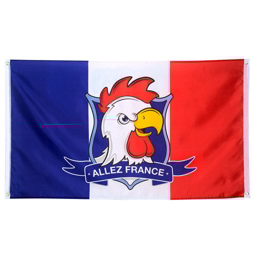 Vlag Frankrijk 'Allez France' 90 x 150 cm