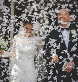 Confetti Kanon Vlinders Wit 80cm