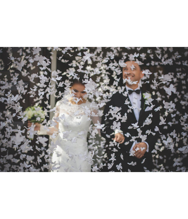 Confetti Kanon Vlinders Wit 80cm