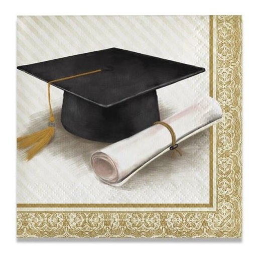 Feestservetten Geslaagd Classic (16st)