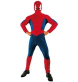 Spinnenweb Spiderman pak eco