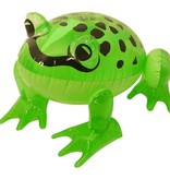Opblaasbare Kikker 39cm