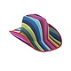 Cowboyhoed Regenboog