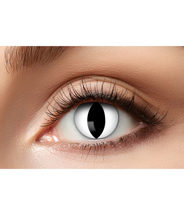 Katten lenzen wit 3 Maanden