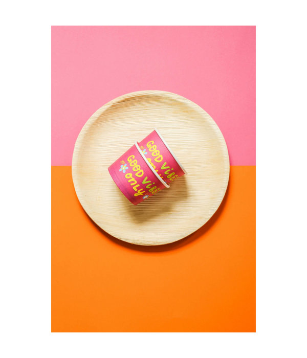 Feestbakjes Summer Party (5st)