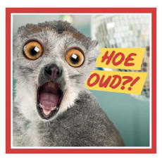 Verjaardagskaart 'Hoe Oud?!'