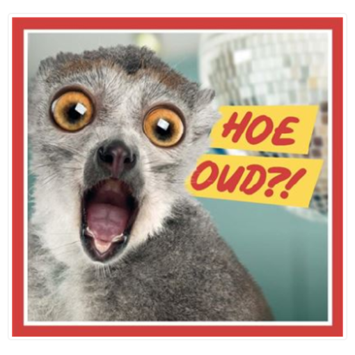 Verjaardagskaart 'Hoe Oud?!'