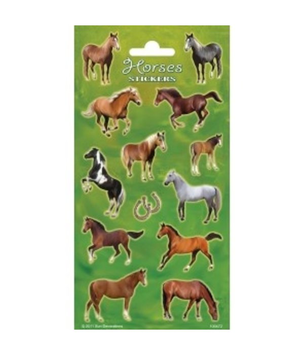 Stickervel Paarden Set Pony