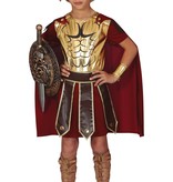 Gouden Ridder Kostuum Kind