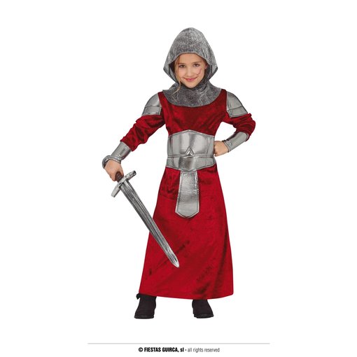 Ridder Kostuum Kind Rood/Grijs