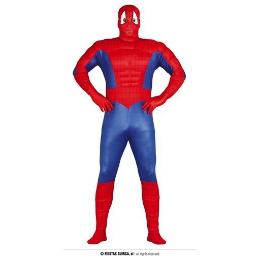 Gespierde Spiderman Kostuum Man