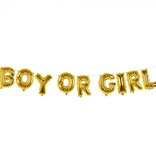 Folieballonslinger Gender Reveal 'Boy Or Girl' (4m)