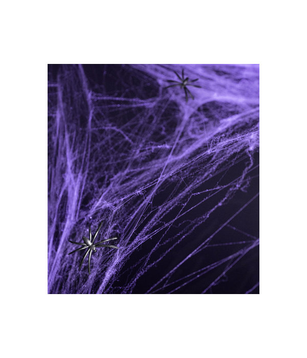 Spinnenweb Paars Halloween Met 2 Spinnen