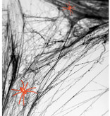Spinnenweb Halloween Met 2 Spinnen Zwart