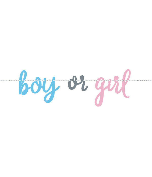 Letterslinger Gender Reveal 'Boy or Girl' (213cm)