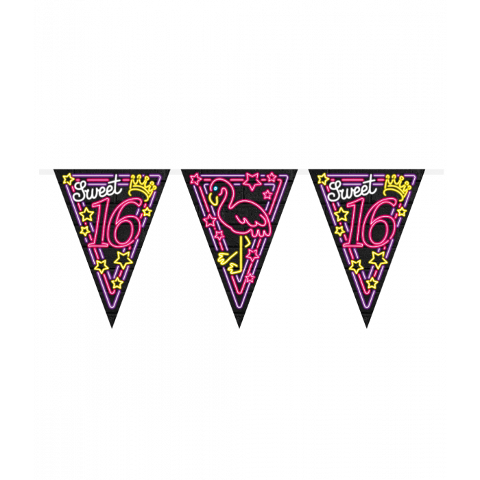 Neon Vlaggenlijn Sweet 16 - 10 meter afbeelding