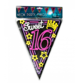 Neon Vlaggenlijn Sweet 16 - 10 meter