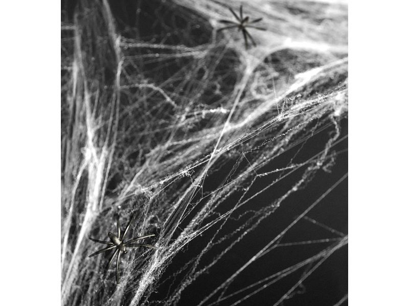 Spinnenweb Wit met 2 Spinnen 60gr