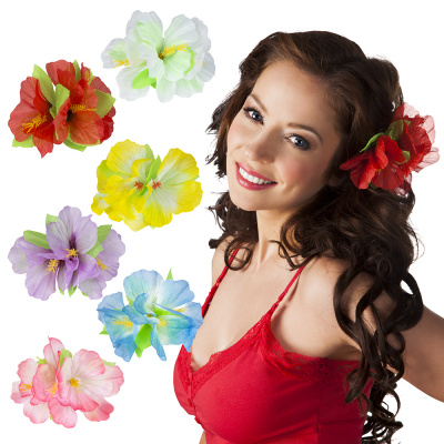 Haarclip bloemen Hawaii afbeelding