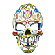 Gezichtsmasker Mr Day of the dead