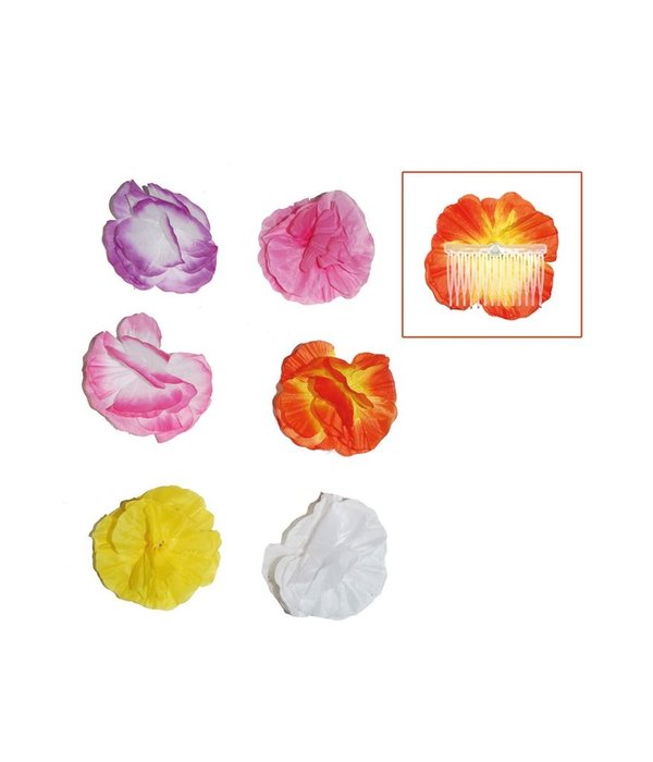 Haarbloem op kam Oranje