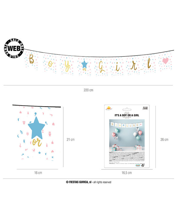 Letterslinger 'Boy or Girl' Babyshower (220cm)