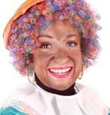 Pieten pruik Regenboog verstelbaar