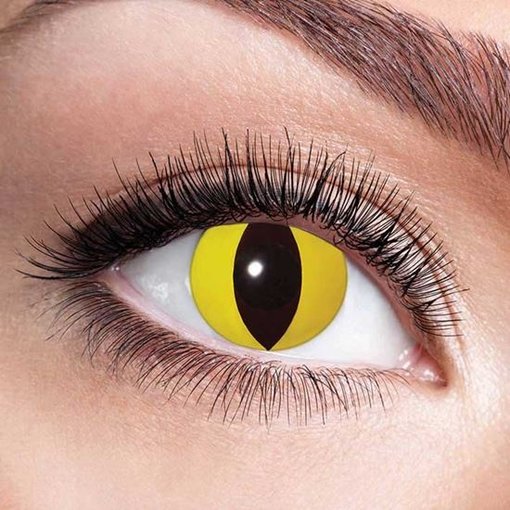 Partylenzen Yellow Cat 1 Maand