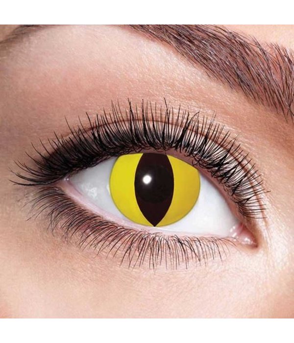 Partylenzen Yellow Cat 1 Maand