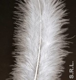 Zakje met 50 veertjes wit