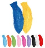 Zakje met 50 veertjes meerkleurig