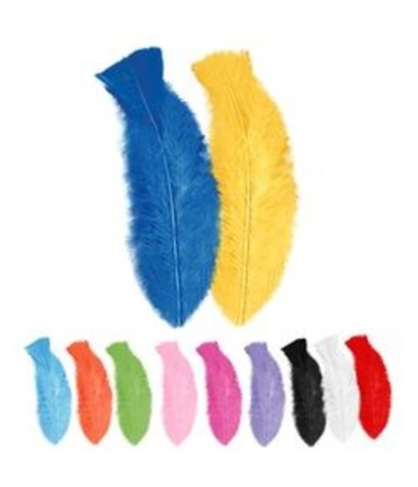 Zakje met 50 veertjes meerkleurig