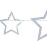 Slinger Sterren Zilver