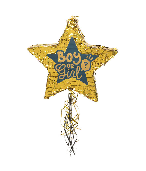 Gender Reveal Pinata Ster Boy or Girl