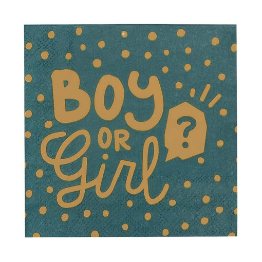 Gender Reveal Servetten Boy or Girl (20st)