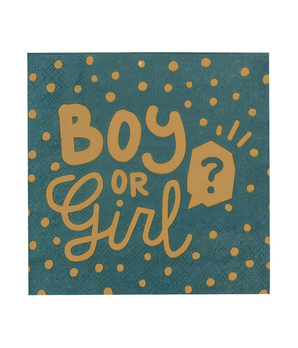 Gender Reveal Servetten Boy or Girl (20st)