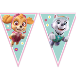 Vlaggenlijn Paw Patrol Skye en Everest (2,3m)
