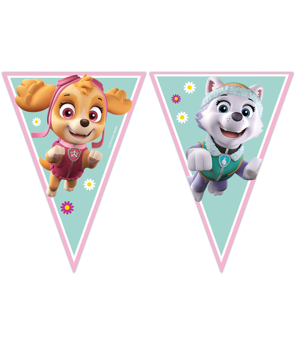Vlaggenlijn Paw Patrol Skye en Everest (2,3m)