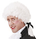 Mozart feestpruik