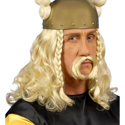 Pruik viking met snor afbeelding