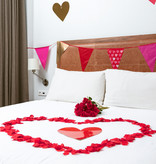 Vlaggenlijn Liefde Hartjes (6m)