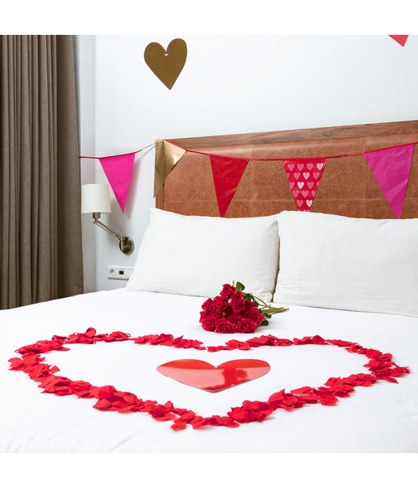 Vlaggenlijn Liefde Hartjes (6m)