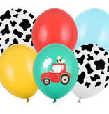 Ballonnen Boerderij Mix (6st)