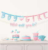 2 Letterslingers Gender Reveal 'Boy Or Girl'