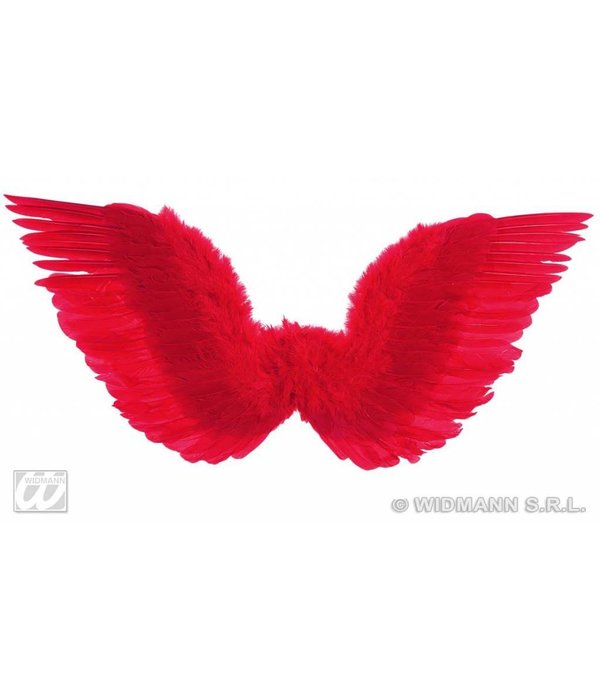 Gevederde vleugels rood 86x31cm