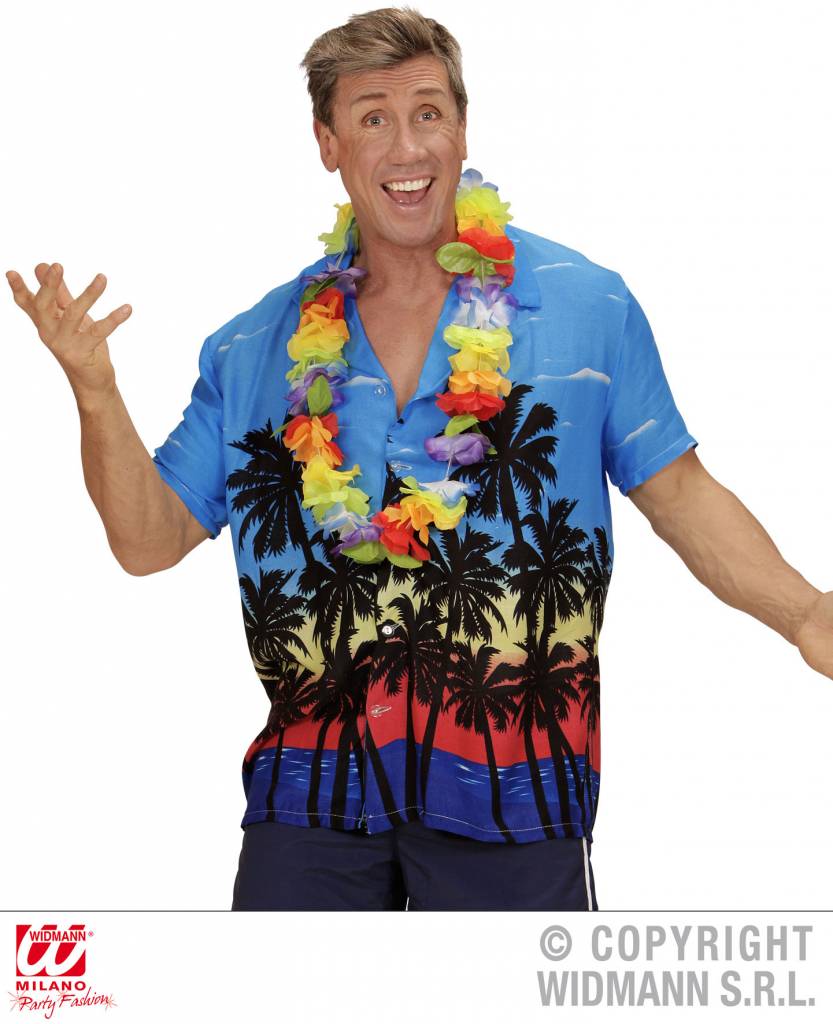 Hawaiishirt Palm Beach afbeelding